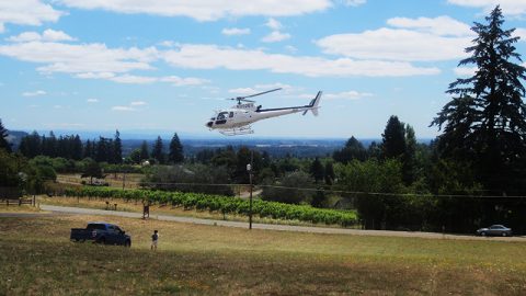 #TBT: That one time Bells Up Winery was in a James Bond movie.*