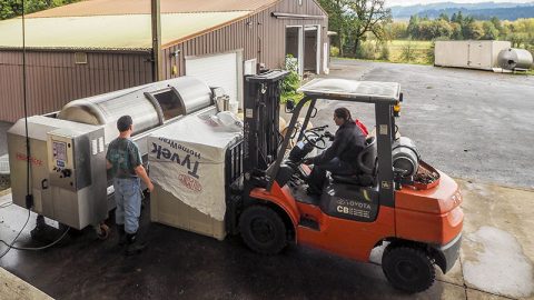 Harvest 2016: Pressing the pinot noirs.