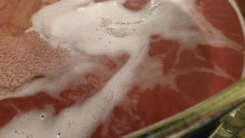 Yes way 2016 rosé! A quick recap of our Prelude rosé of pinot noir harvest.
