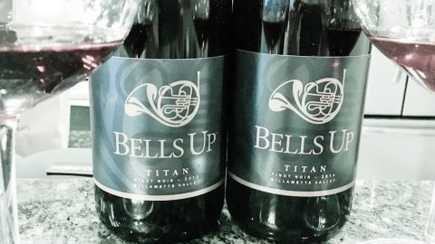 2013 -and- 2014 Titan Pinot Noir awarded 91-point scores from International Wine Report, Washington Wine Blog