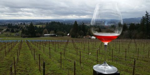 Fanfare Club: Porch Warming & Rosé Release Party