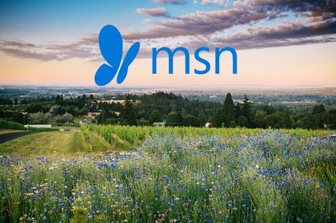 MSN Showcases Willamette Valley, Bells Up as a Crowd-Free Spring Break Destination
