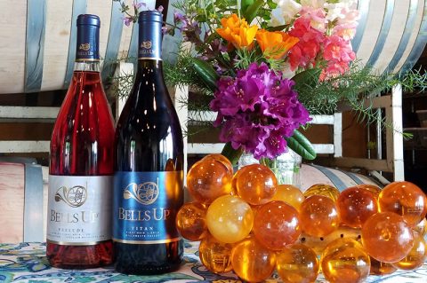 Washington Wine Blog Gives Two New Bells Up Releases High Marks