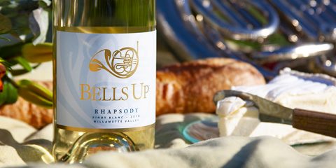 Washington Wine Blog Calls 2018 Rhapsody Pinot Blanc an “Awesome Release”