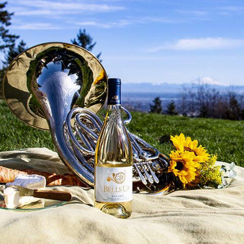 1 Wine Dude Reviews 2018 Helios Estate Seyval Blanc