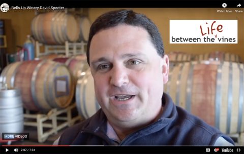 Bells Up’s Dave Specter Featured in Life Between the Vines Video Interview