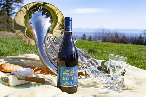 Wine Reviewer Ellen Landis Says Bells Up’s Wines Are “Striking and Dramatic”
