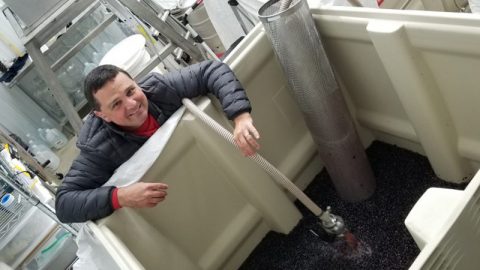 Winerabble Interviews Winemaker Dave to Find Out “Why Wine?”