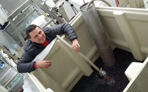 Winerabble Interviews Winemaker Dave to Find Out “Why Wine?”