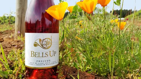 Washington Wine Blog Names 2019 Prelude A Top Oregon Wine in 2020 Rosé Report