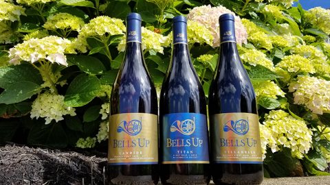 2017 Bells Up Pinots Have “Excellent Finesse and Elegance,” Says Washington Wine Blog