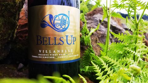 2018 Tonnelier Vineyard Reserve Is “Perhaps [Our] Most Impressive Pinot Noir,” Says Great Northwest Wine