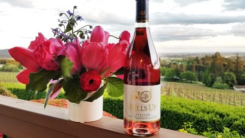Ellen Landis Calls Latest Releases of Prelude, Titan and Firebird “Shimmering Gems”