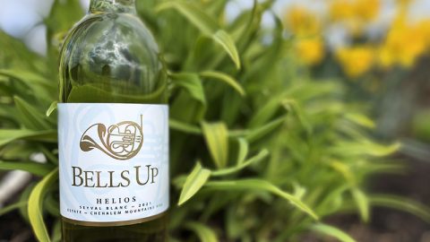 Kathleen Willcox Reviews Bells Up’s Helios Seyval Blanc