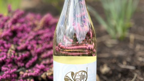 Wine Reviewer Paul Gregutt Picks 2021 Rhapsody Pinot Blanc as “Wine of the Week”