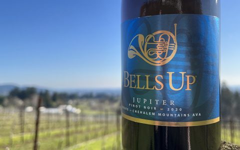 Great Northwest Wine Rates 2020 Jupiter Estate Pinot Noir “Outstanding!”