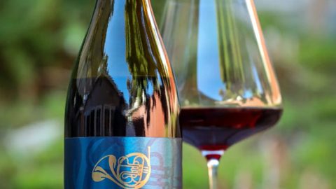 Winery Reflections Praises 2019 Titan Pinot Noir’s “Juicy and Expressive” Character
